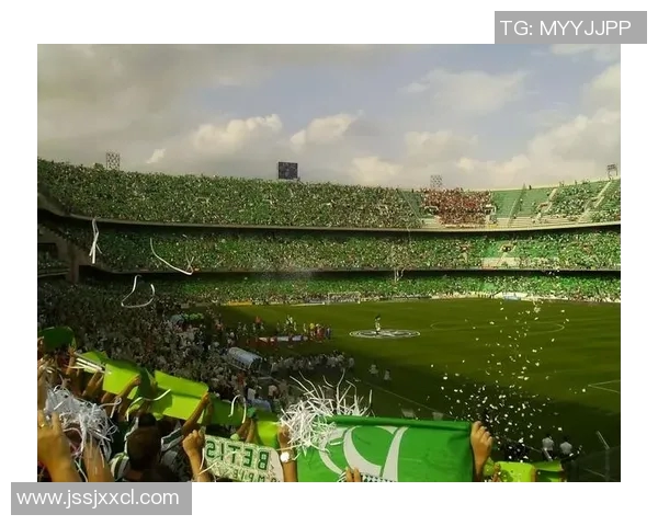 足球世界：探寻绿茵场上的传奇与梦想，解读足球背后的故事与激情