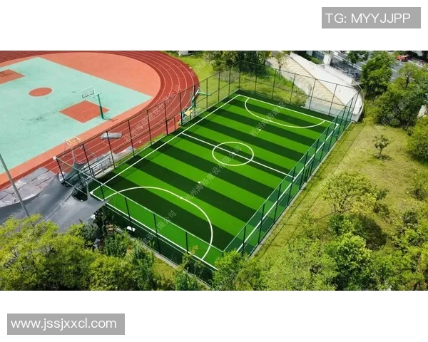 中国足球学校培养未来之星助力中国足球崛起的全新路径探索